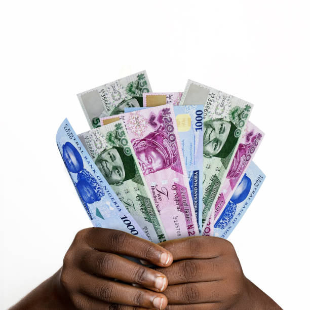 invest 100 naira and earn daily